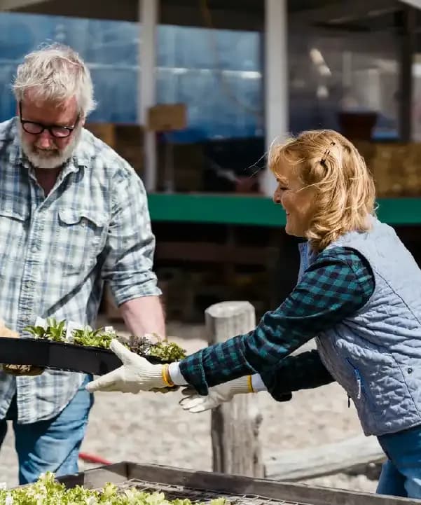 Section illustration