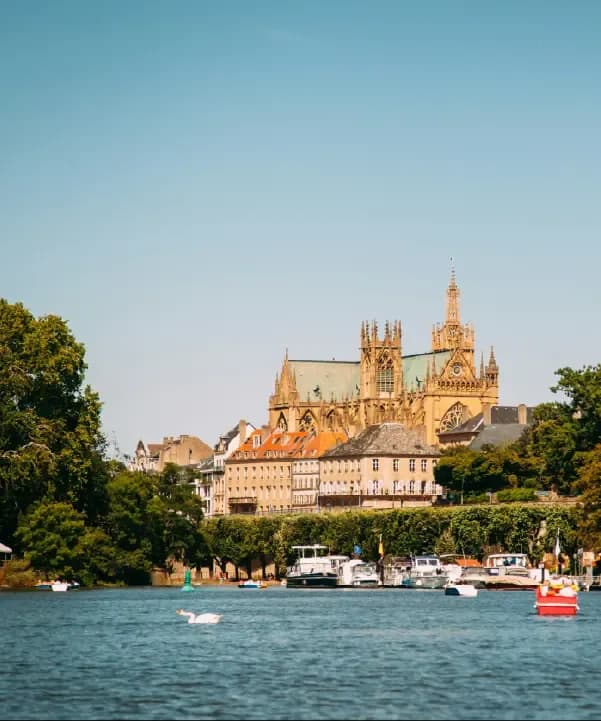 Section illustration