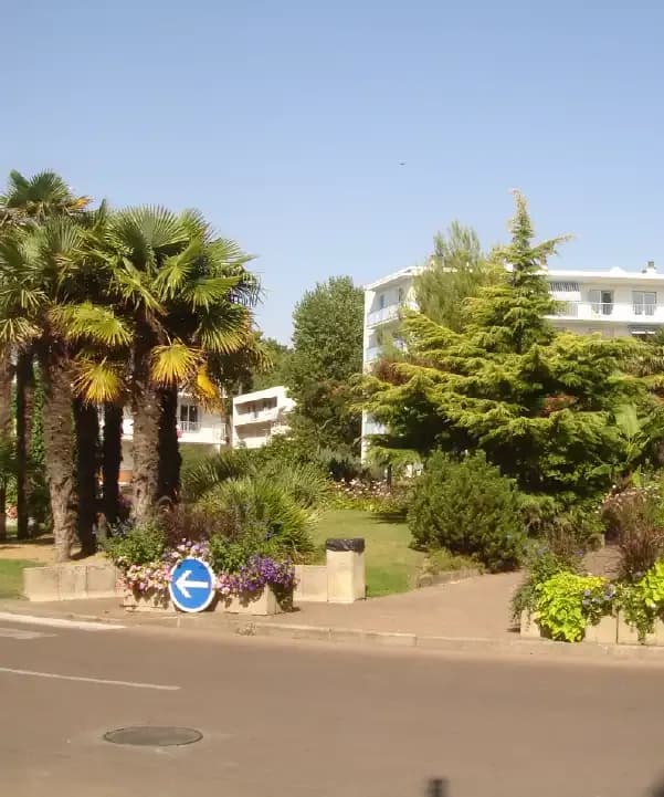 Section illustration