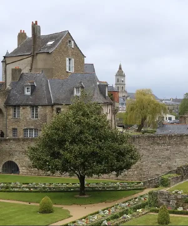 Section illustration