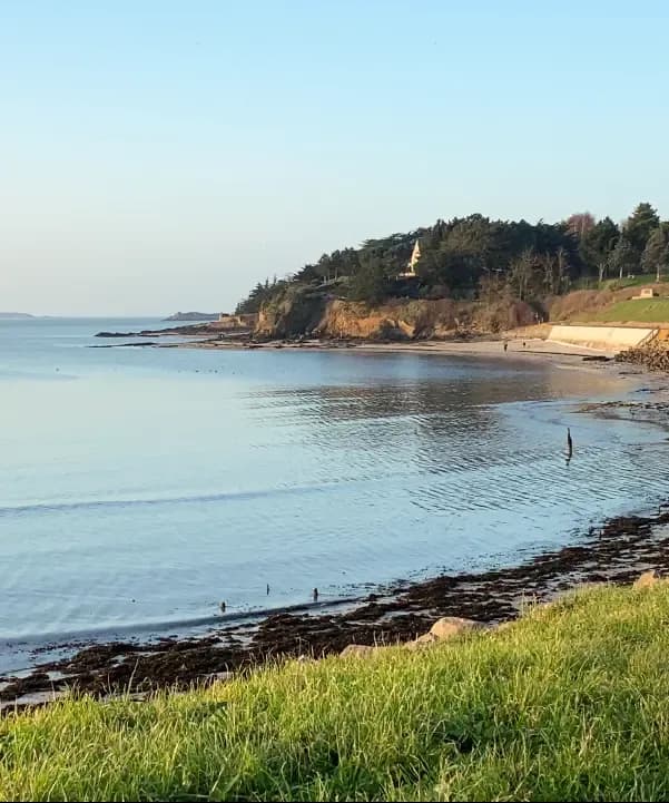 Section illustration