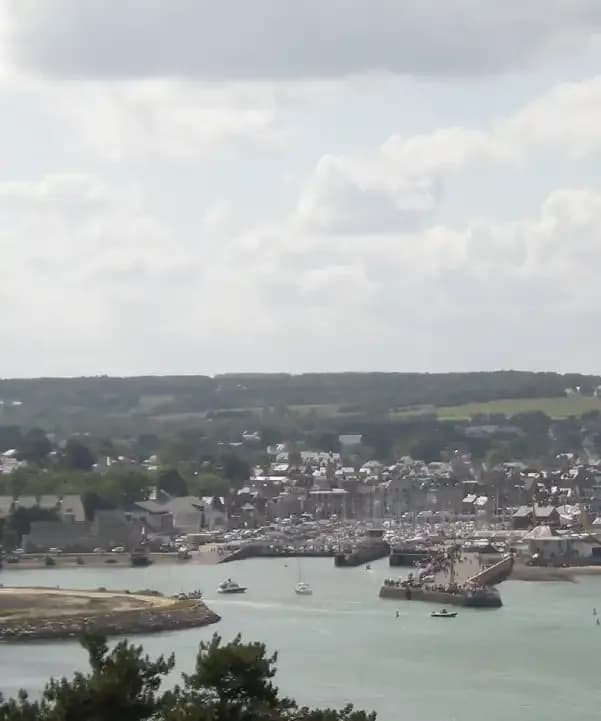 Section illustration