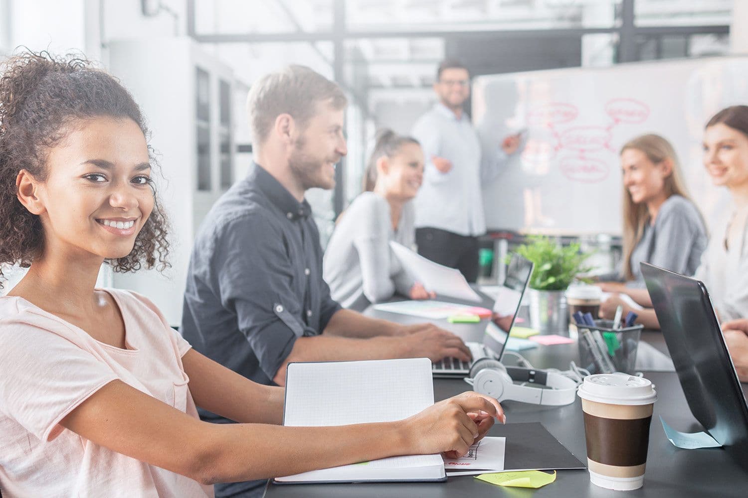 Section illustration