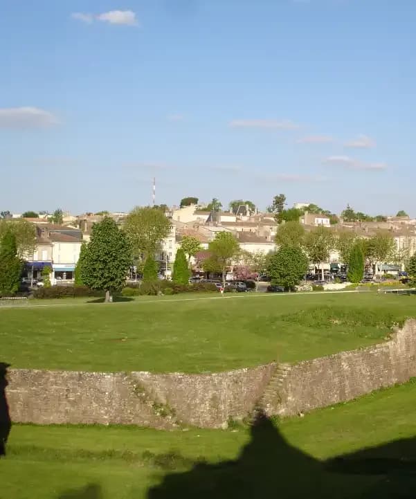 Section illustration