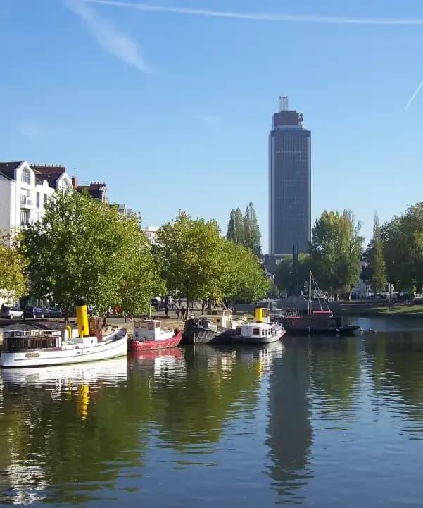 Section illustration