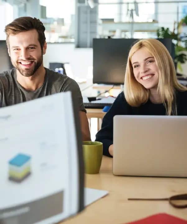 Section illustration