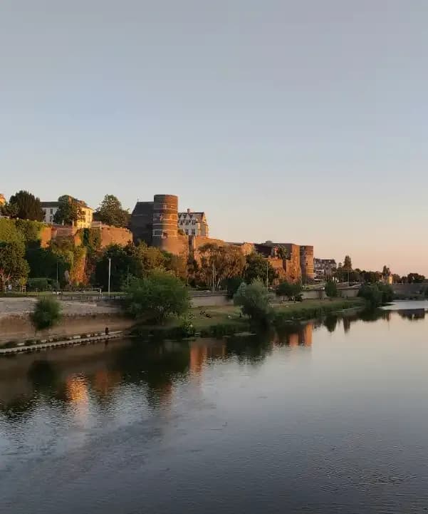 Section illustration