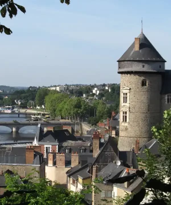 Section illustration