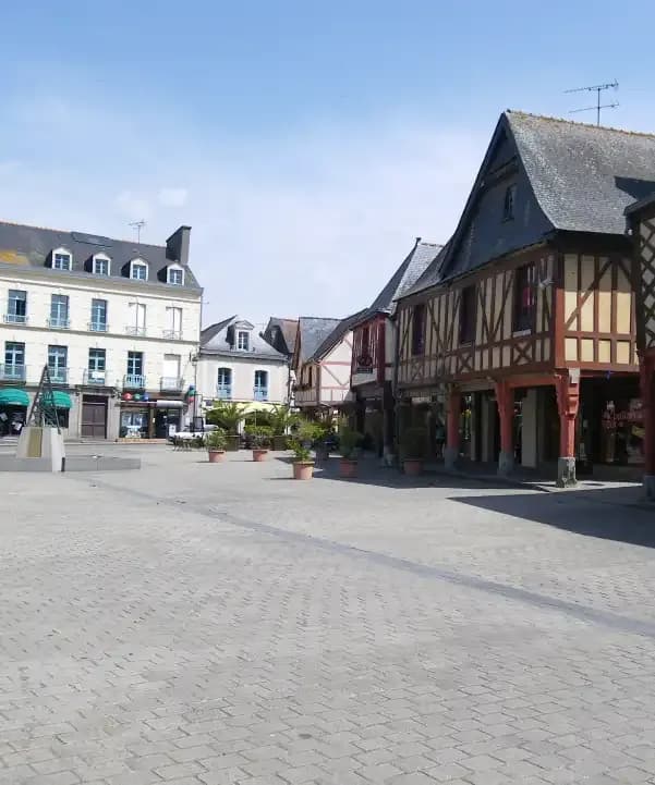 Section illustration