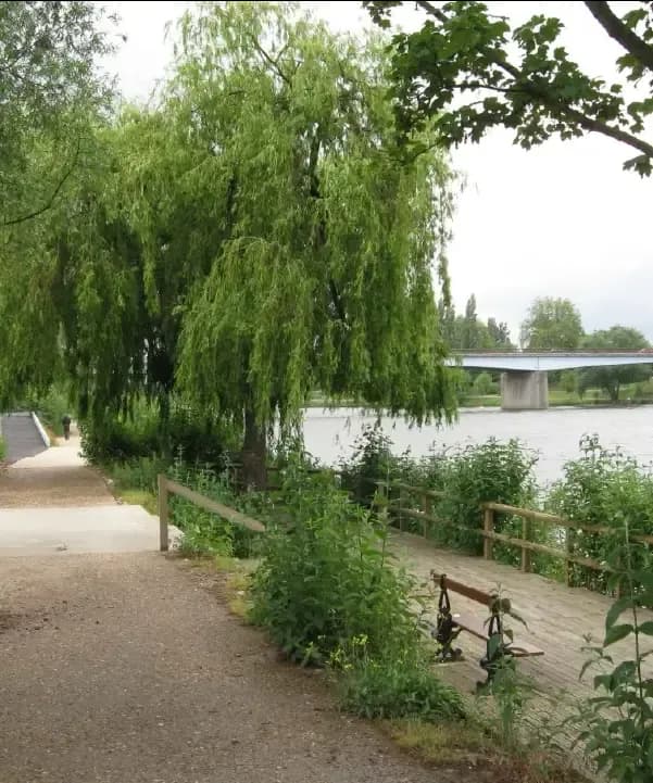 Section illustration