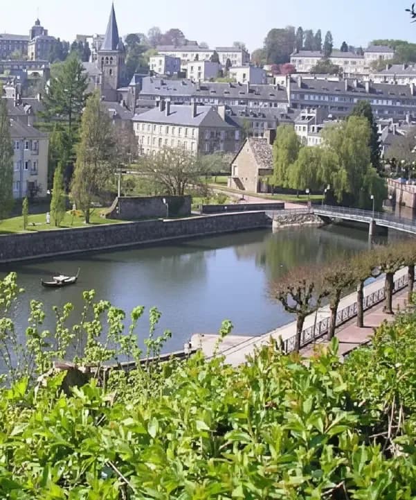 Section illustration