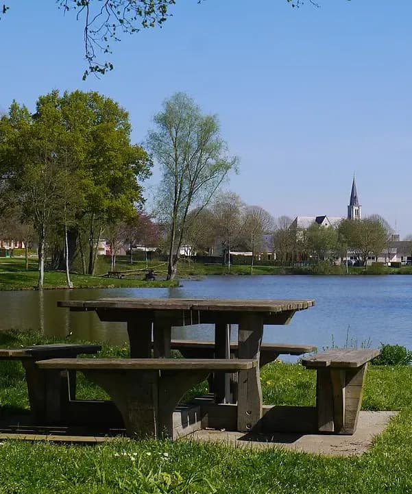 Section illustration