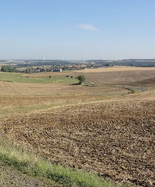 Section illustration