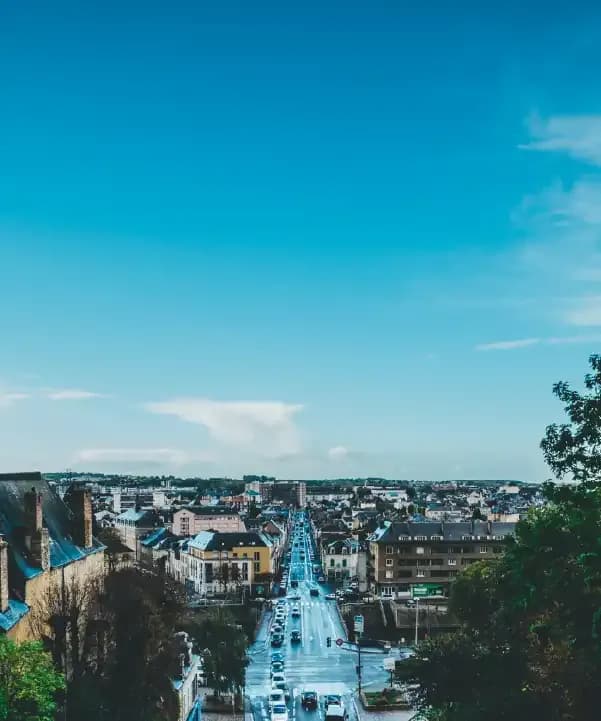 Section illustration