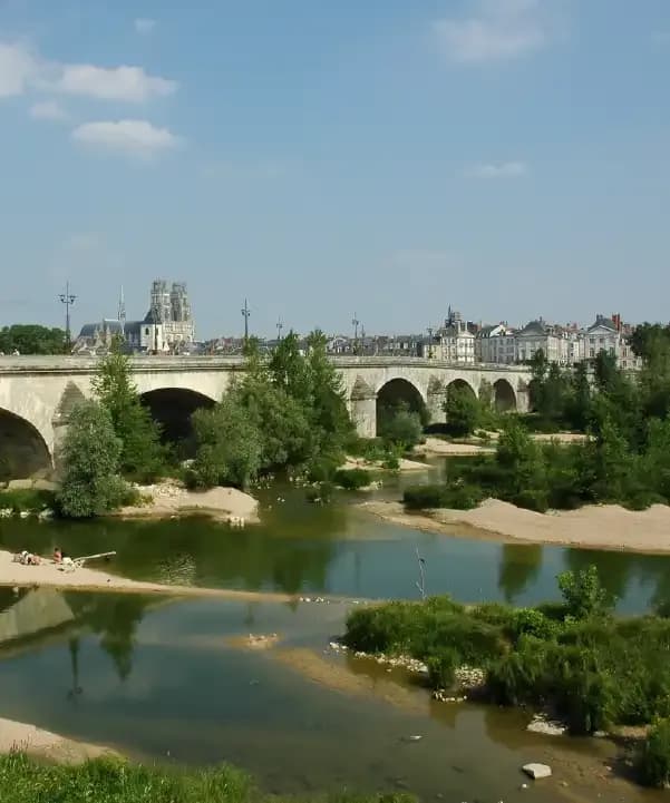 Section illustration