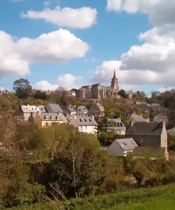 Section illustration