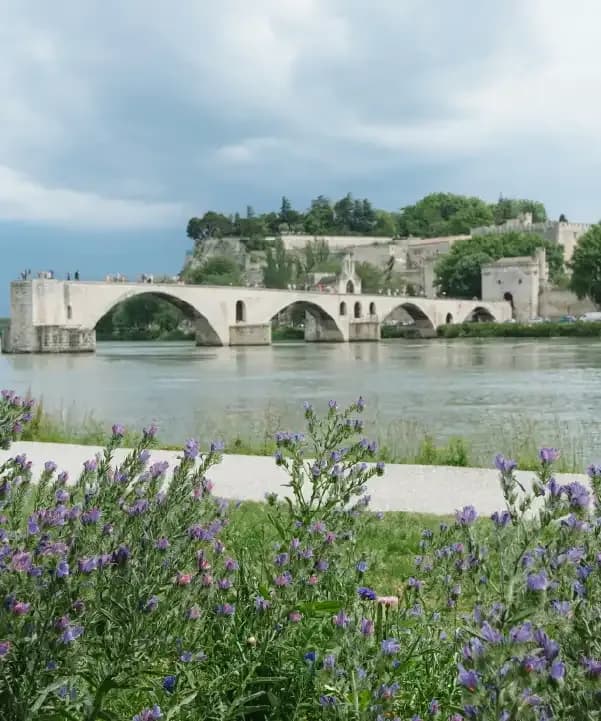 Section illustration