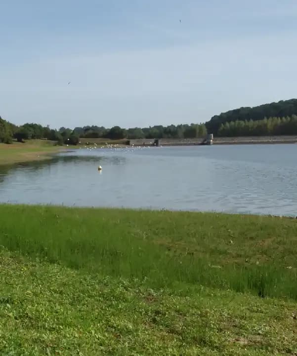 Section illustration