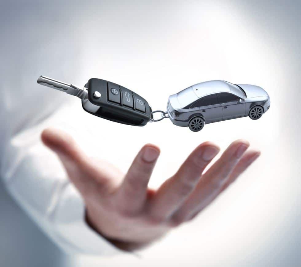 Section illustration